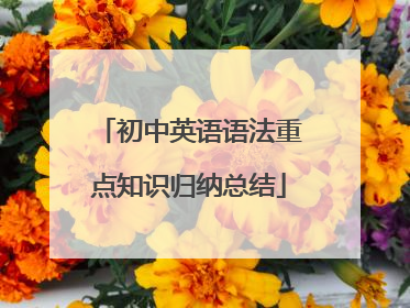 初中英语语法重点知识归纳总结