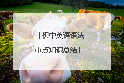 初中英语语法重点知识总结
