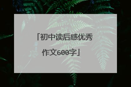 初中读后感优秀作文600字