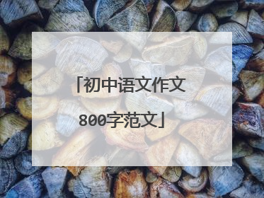 初中语文作文800字范文