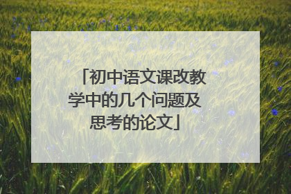 初中语文课改教学中的几个问题及思考的论文