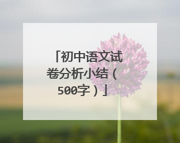 初中语文试卷分析小结(500字)