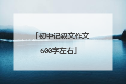 初中记叙文作文600字左右