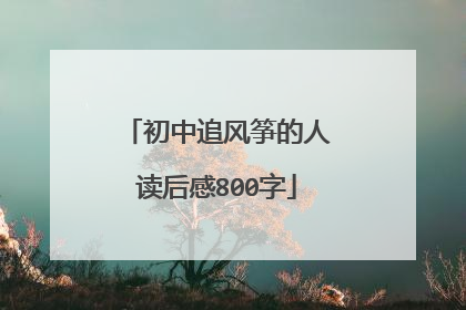 初中追风筝的人读后感800字
