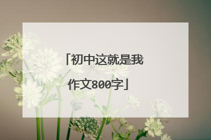 初中这就是我作文800字