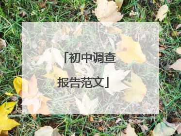 初中调查报告范文