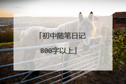 初中随笔日记800字以上