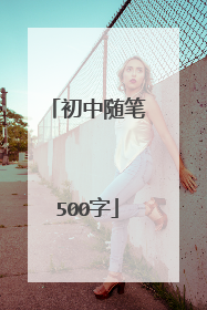 初中随笔500字