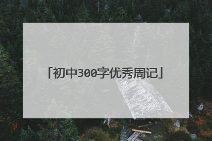 初中300字优秀周记