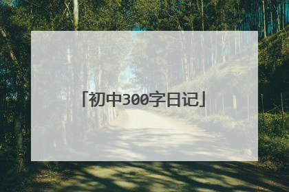 初中300字日记