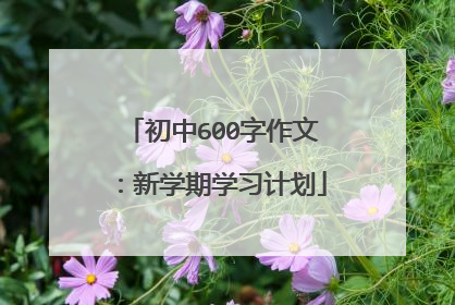 初中600字作文：新学期学习计划