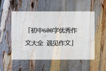 初中600字优秀作文大全 遇见作文