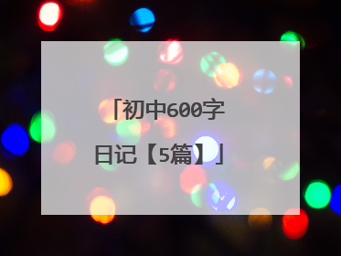 初中600字日记【5篇】