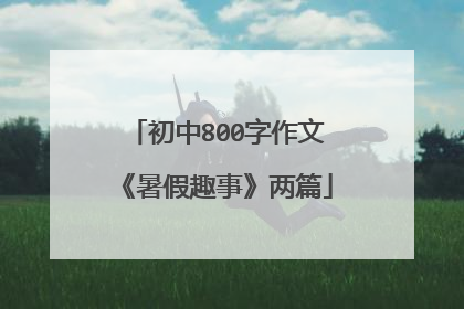 初中800字作文《暑假趣事》两篇