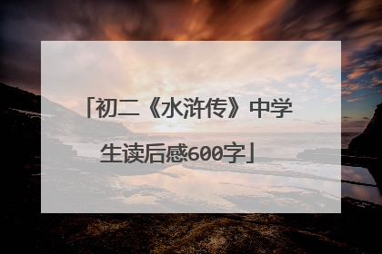 初二《水浒传》中学生读后感600字