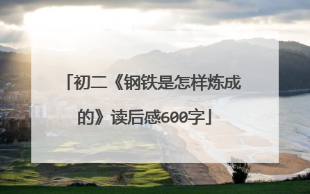初二《钢铁是怎样炼成的》读后感600字