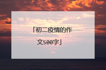 初二疫情的作文500字