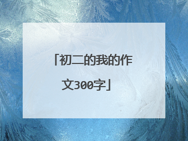 初二的我的作文300字
