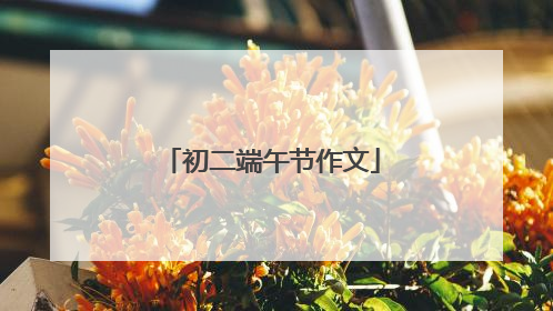初二端午节作文
