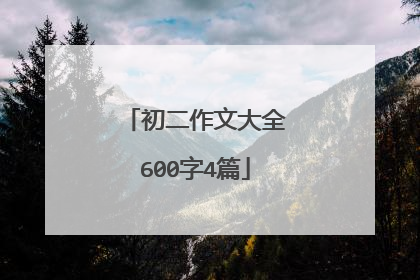初二作文大全600字4篇