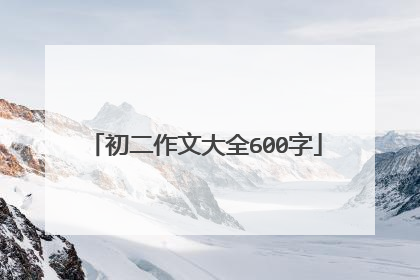 初二作文大全600字