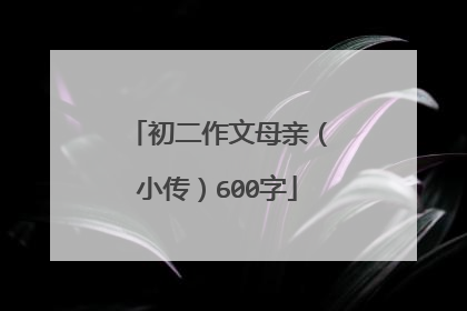 初二作文母亲(小传)600字