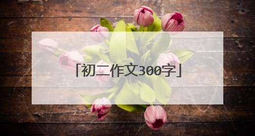 初二作文300字