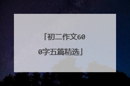 初二作文600字五篇精选