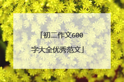 初二作文600字大全优秀范文