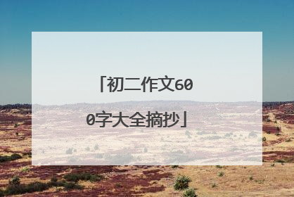 初二作文600字大全摘抄