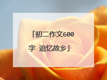 初二作文600字 追忆故乡