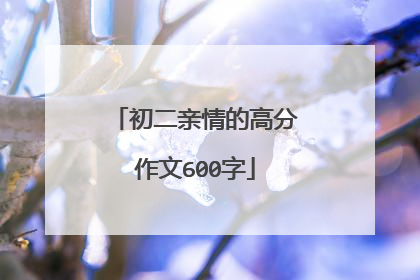 初二亲情的高分作文600字