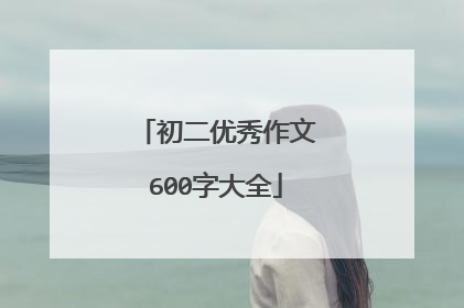 初二优秀作文600字大全
