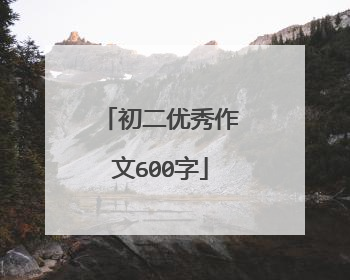 初二优秀作文600字