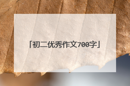 初二优秀作文700字