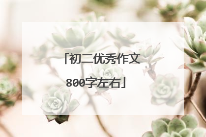 初二优秀作文800字左右