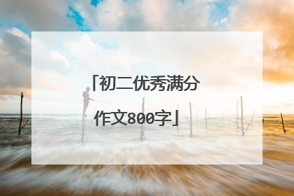 初二优秀满分作文800字