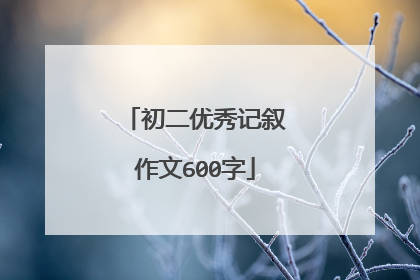 初二优秀记叙作文600字