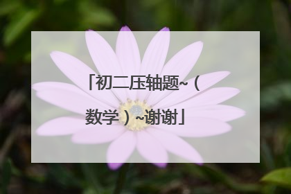 初二压轴题~(数学)~谢谢