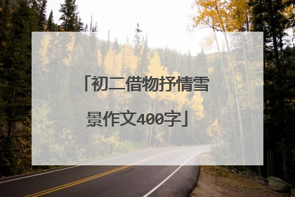 初二借物抒情雪景作文400字