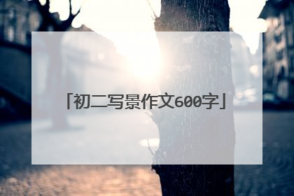 初二写景作文600字
