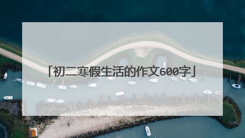 初二寒假生活的作文600字