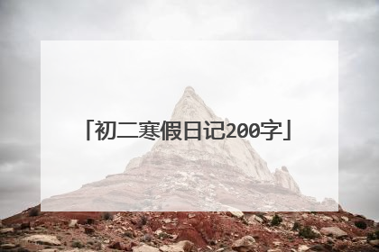 初二寒假日记200字