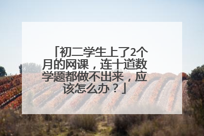 初二学生上了2个月的网课,连十道数学题都做不出来,应该怎么办?