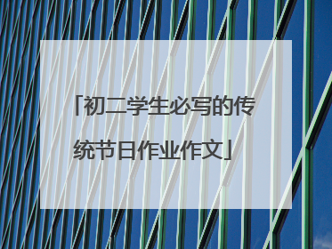 初二学生必写的传统节日作业作文