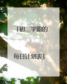 初二学霸的每日计划表