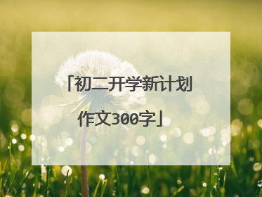 初二开学新计划作文300字