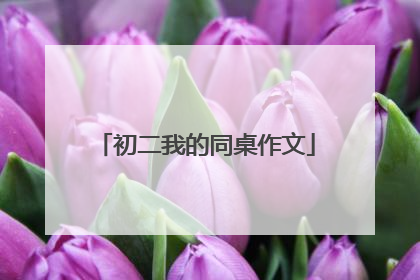 初二我的同桌作文