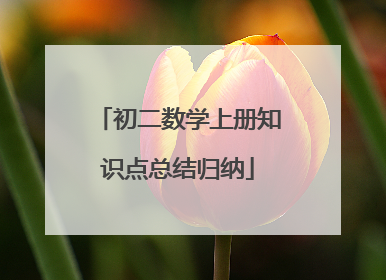 初二数学上册知识点总结归纳