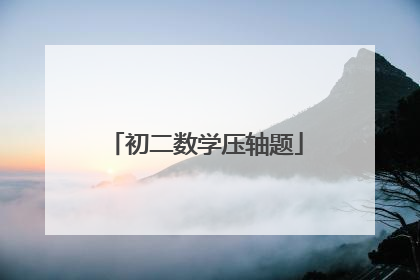 初二数学压轴题